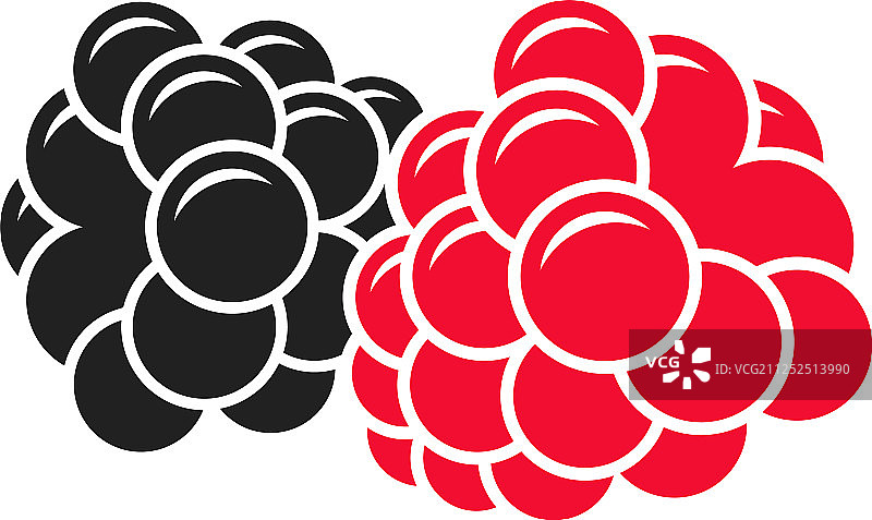 新鲜浆果图片素材