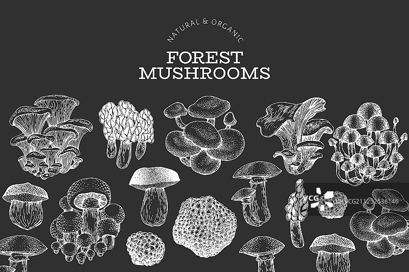 手绘粉笔蘑菇食物设计模板图片素材