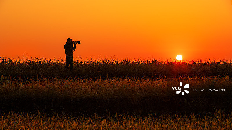 秋日农田剪影图片素材