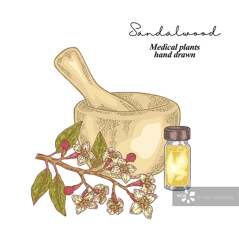檀香精油与草药组合图片素材