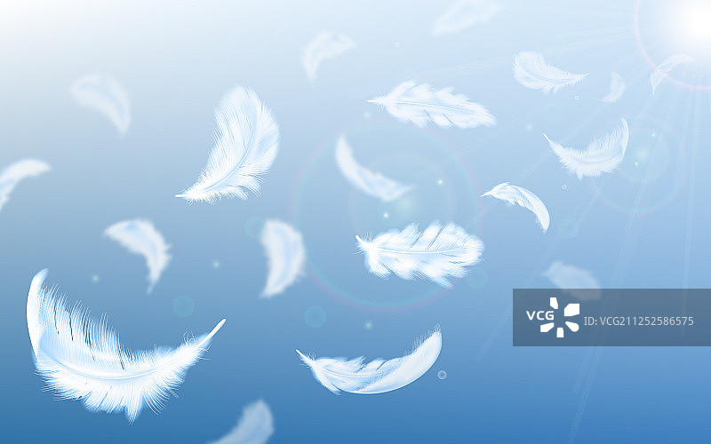 蓝色天空背景上的白色羽毛图片素材