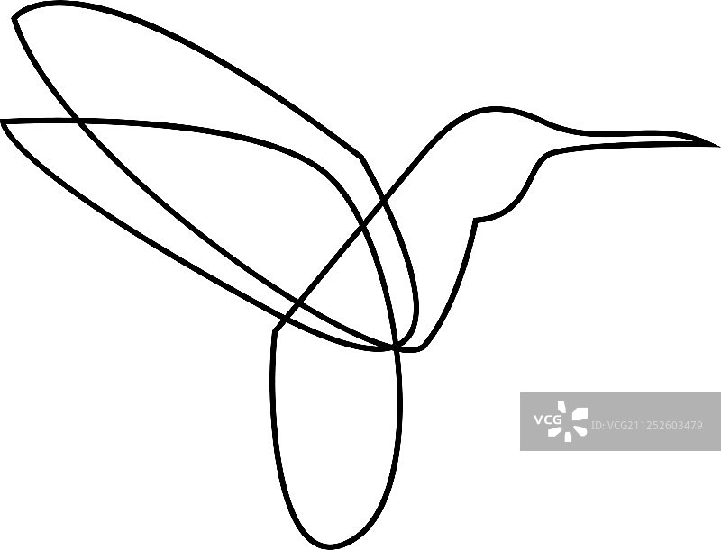 蜂鸟飞行剪影手绘线条设计图片素材
