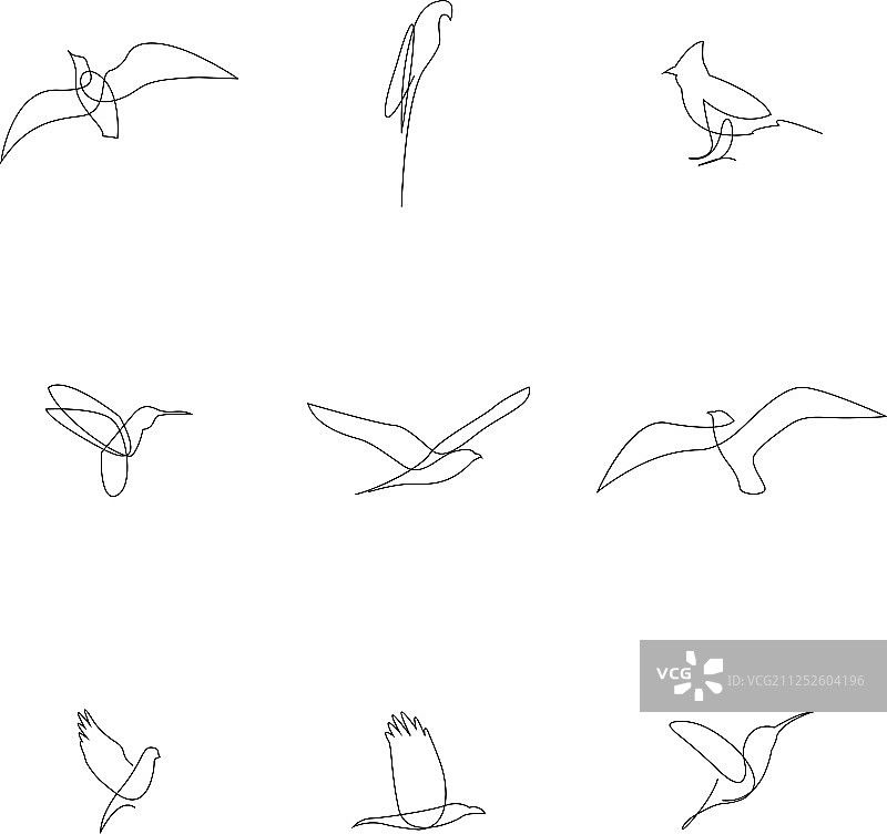手绘单线鸟类合集图片素材