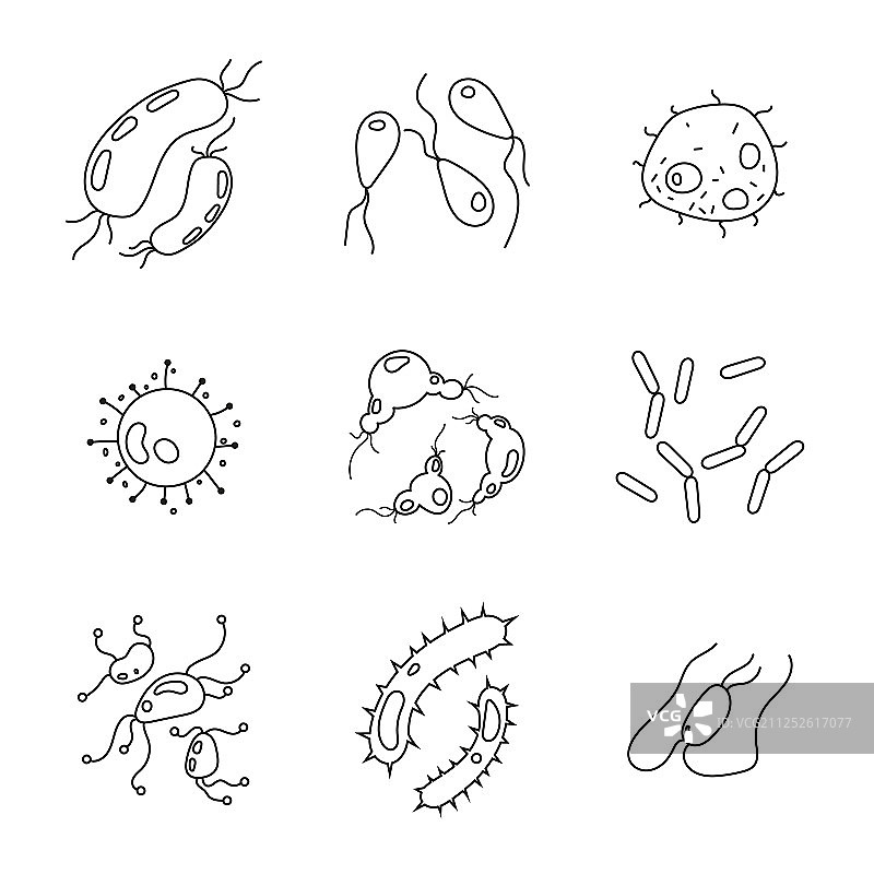 细菌和微生物合集图片素材