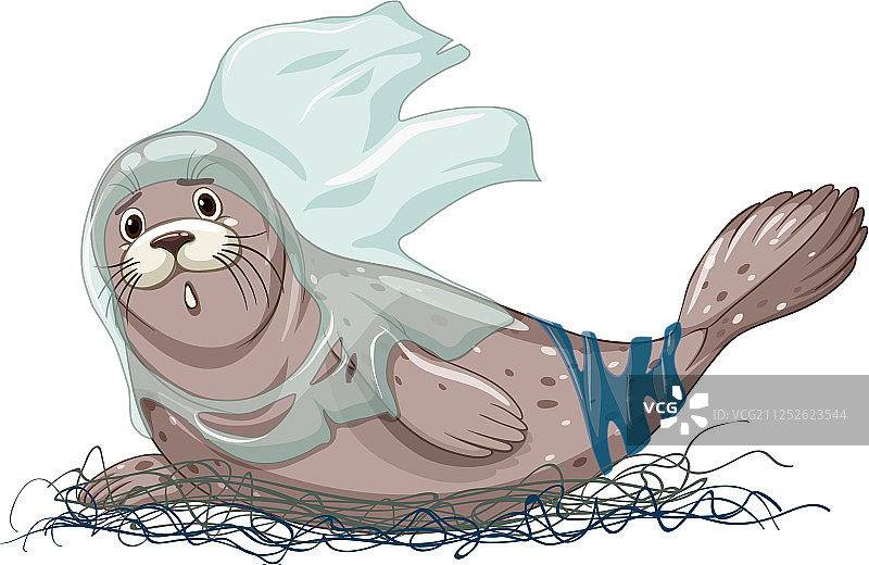 被渔网塑料袋缠绕的海豹图片素材