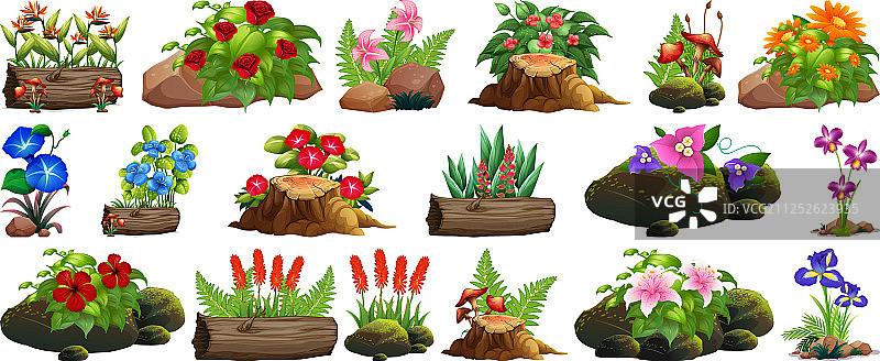 岩石和木头上各色鲜花大型合集图片素材