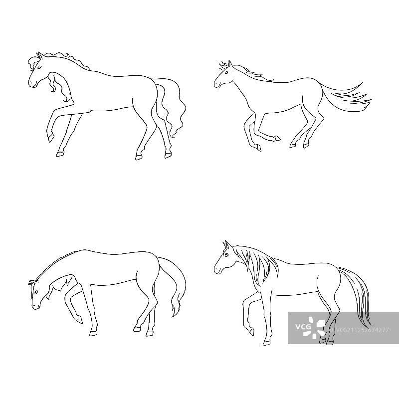 孤立的种马和奔腾符号图片素材