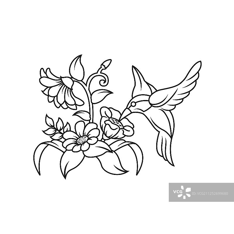 蜂鸟花卉图标图片素材