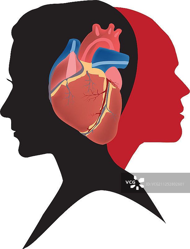 红发女人、黑发男人和人类心脏图片素材