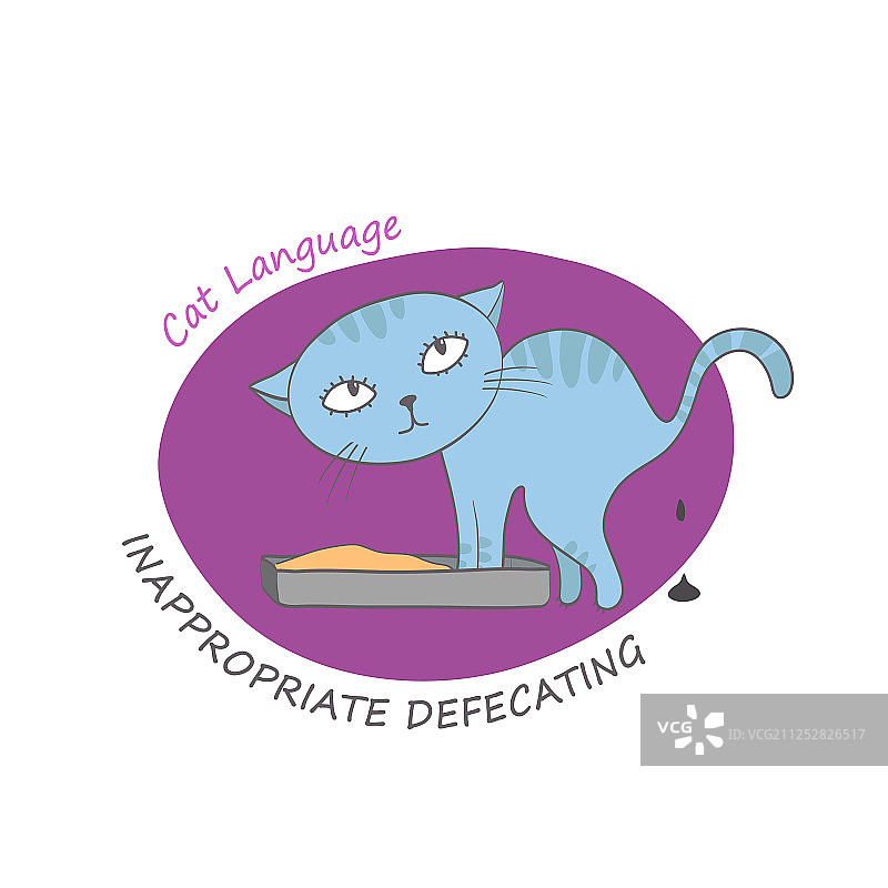 猫咪行为图图片素材