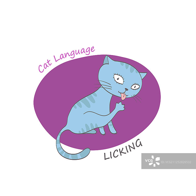 猫咪行为图图片素材