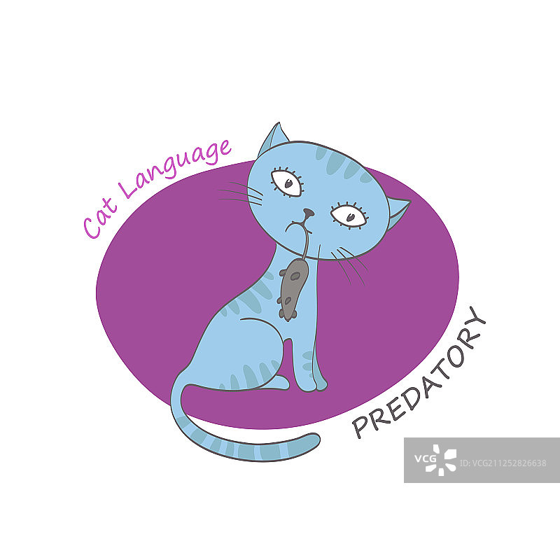 猫咪行为图图片素材