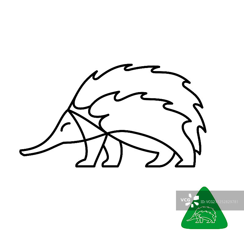 优雅风格的针鼹logo细线设计图片素材