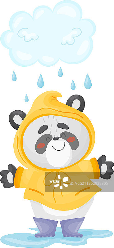 可爱的熊猫站在雨中图片素材