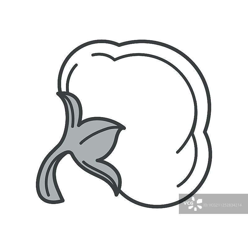 床上用品或服装用纤维棉花图片素材