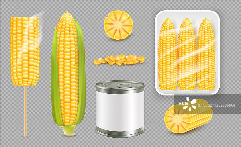 逼真甜玉米套装图片素材