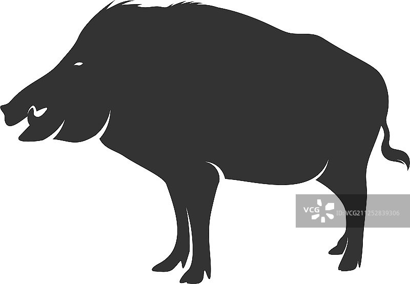 野猪logo设计模板图标符号图片素材