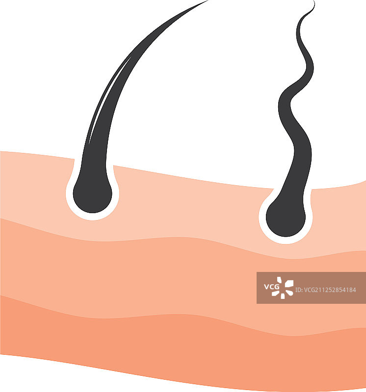 发根图标设计图片素材