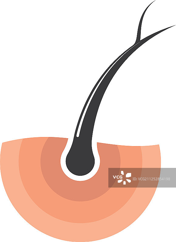 发根图标设计图片素材