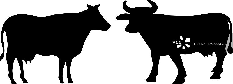 白色背景上的奶牛图标图片素材