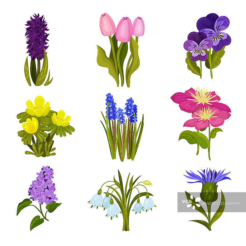 不同春季花卉图像合集图片素材