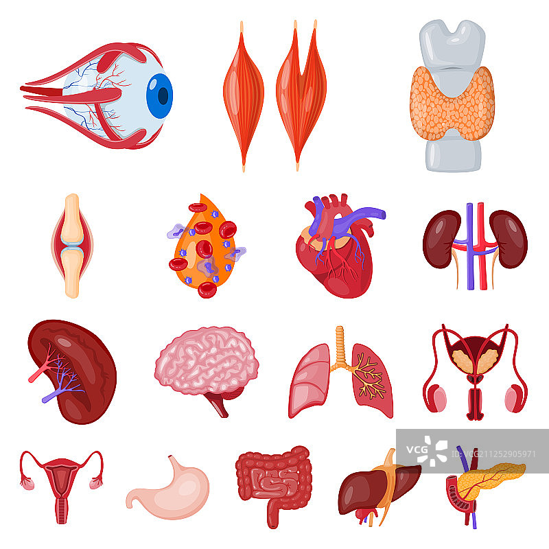 人体器官标志设计合集图片素材
