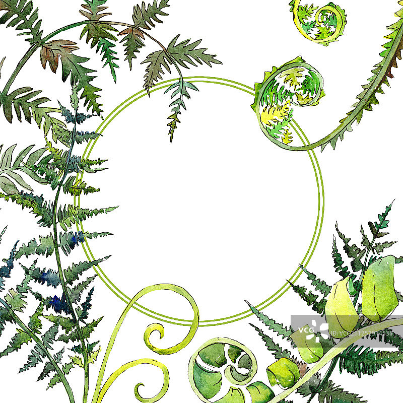 绿色蕨类植物叶，水彩背景边框装饰方块图片素材