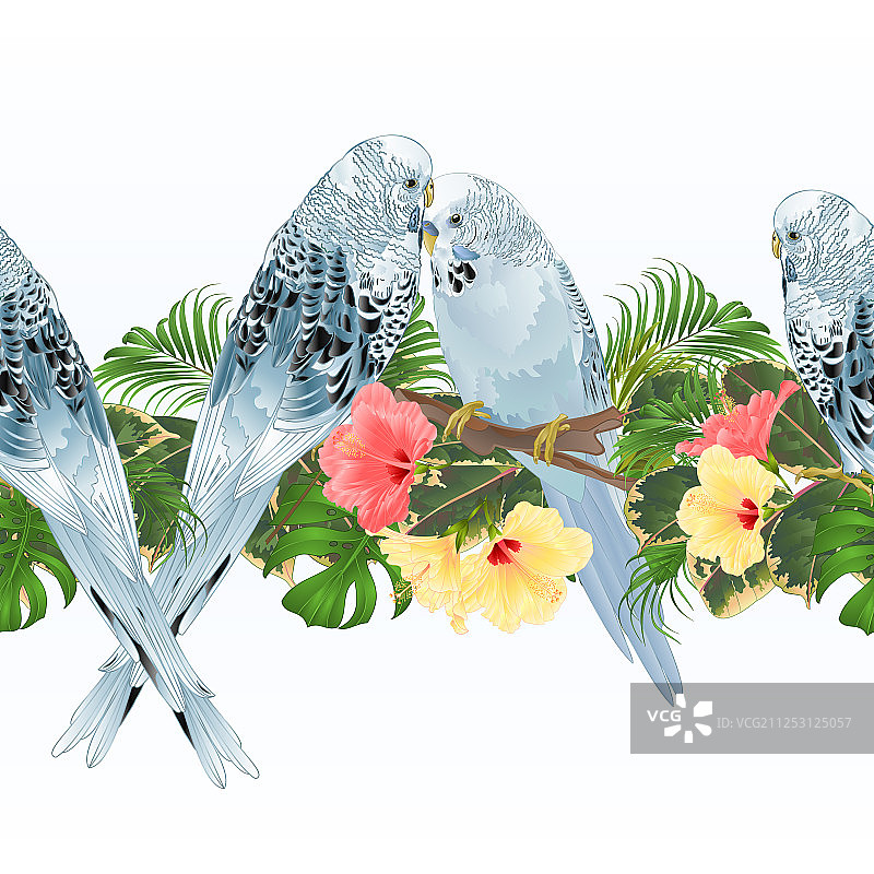 蓝色宠物热带无缝背景边框图片素材