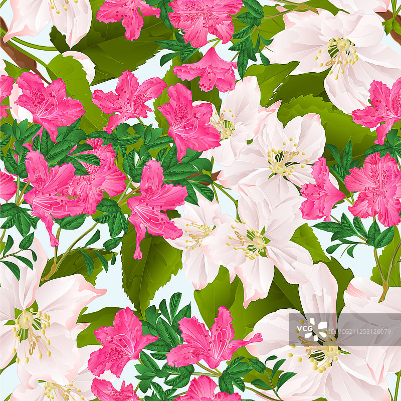 粉色杜鹃树枝无缝纹理图片素材