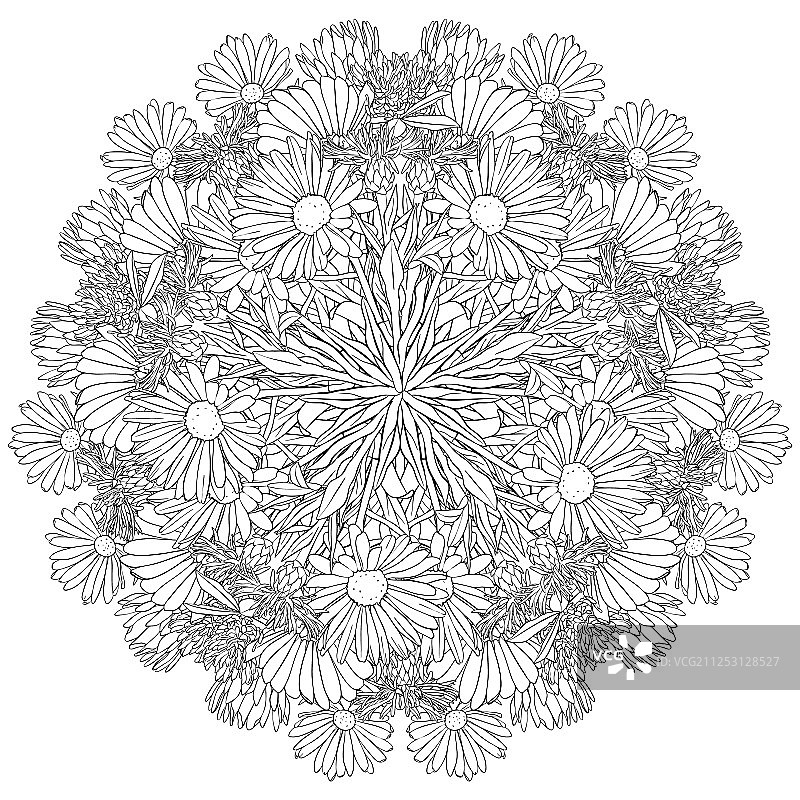 百合花绘画图片素材