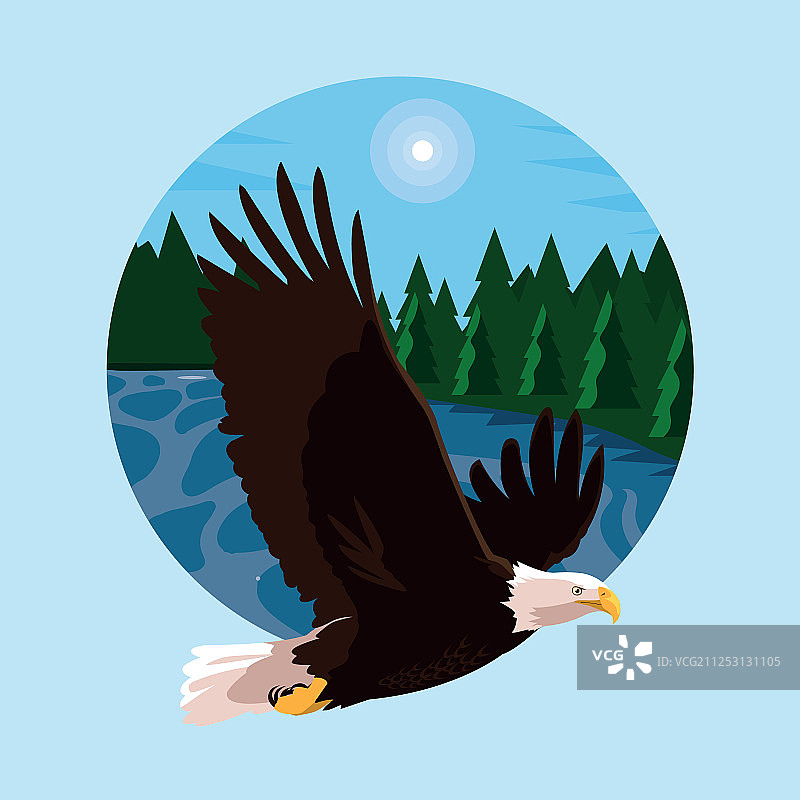 在风景中飞翔的秃鹰图片素材