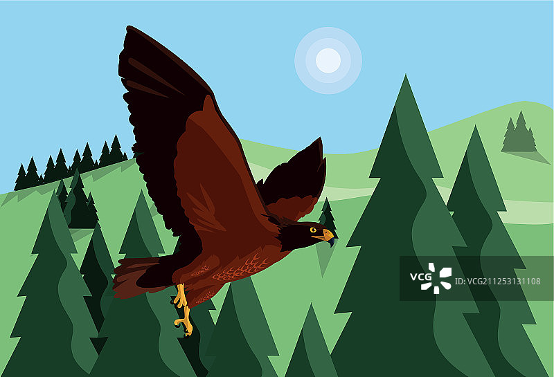 在风景中飞翔的威猛鹰鸟图片素材