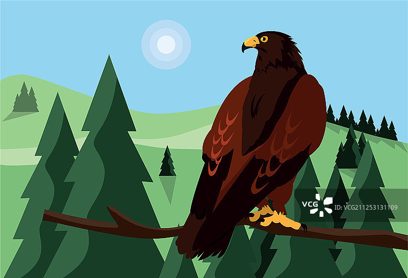 枝头雄鹰与风景图片素材