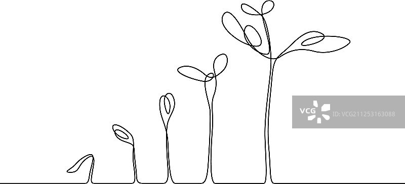 植物生长过程的连续单线画图片素材