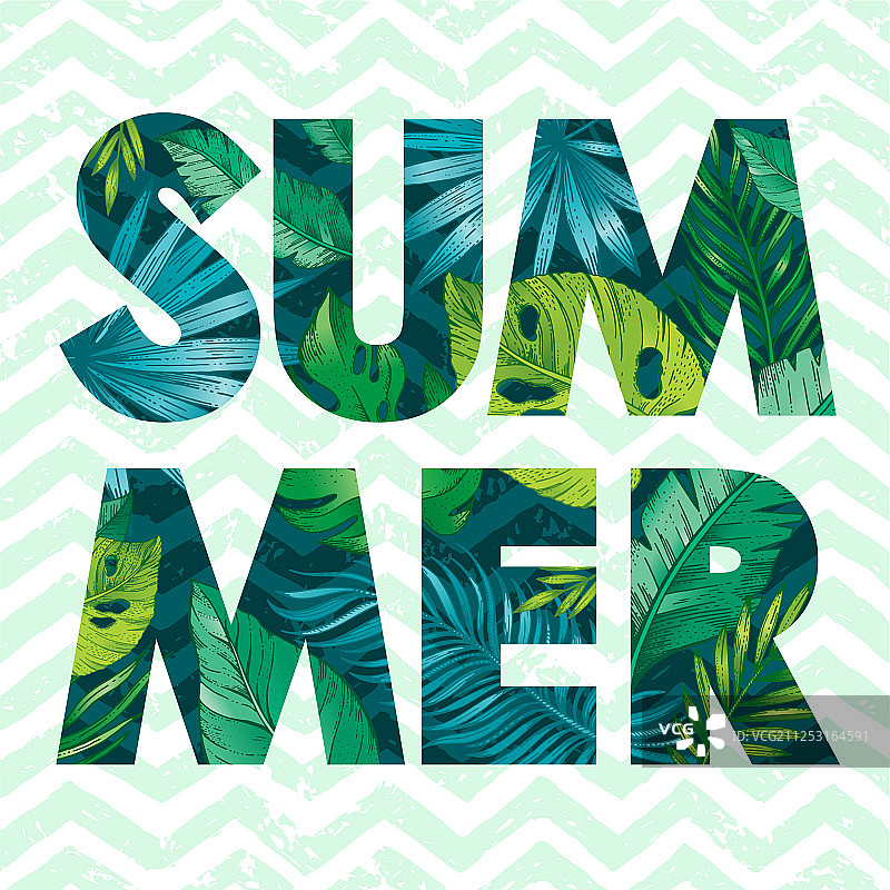 你好夏天热带树叶卡片海报图片素材