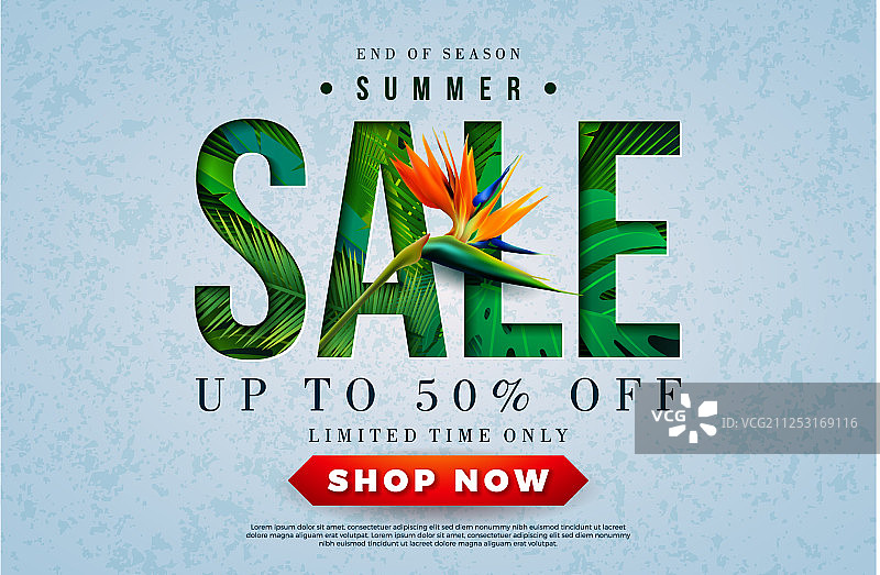 夏季促销设计与巨嘴鸟热带棕榈图片素材