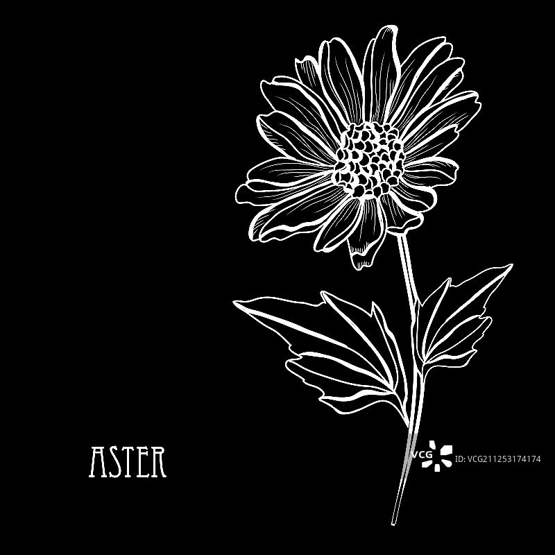 手绘花卉装饰图片素材