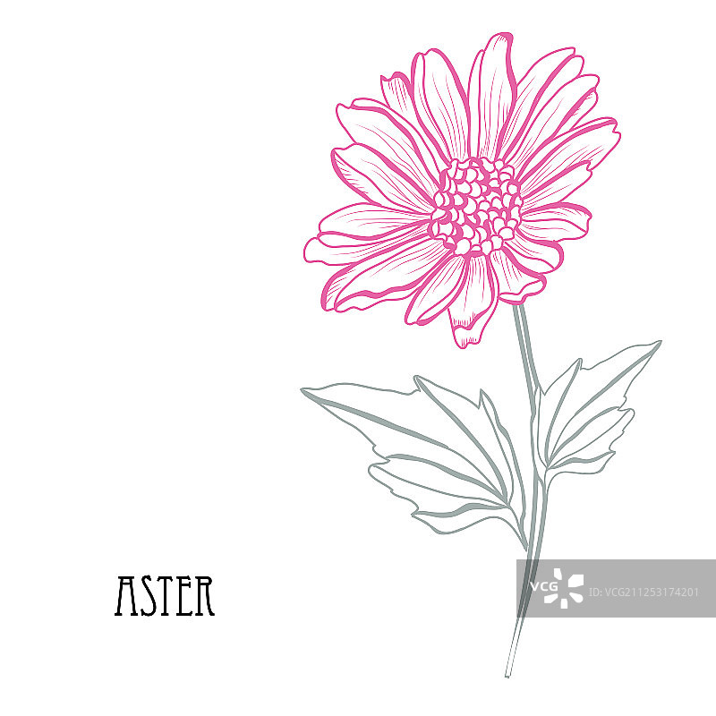 手绘花卉装饰图片素材