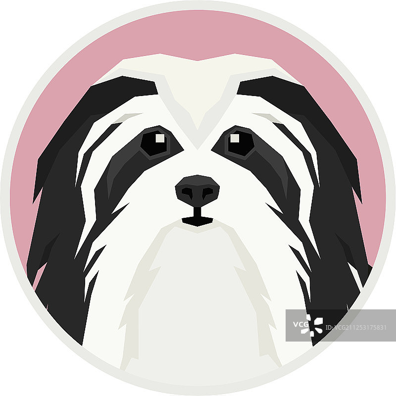 哈瓦那犬圆形相框图片素材