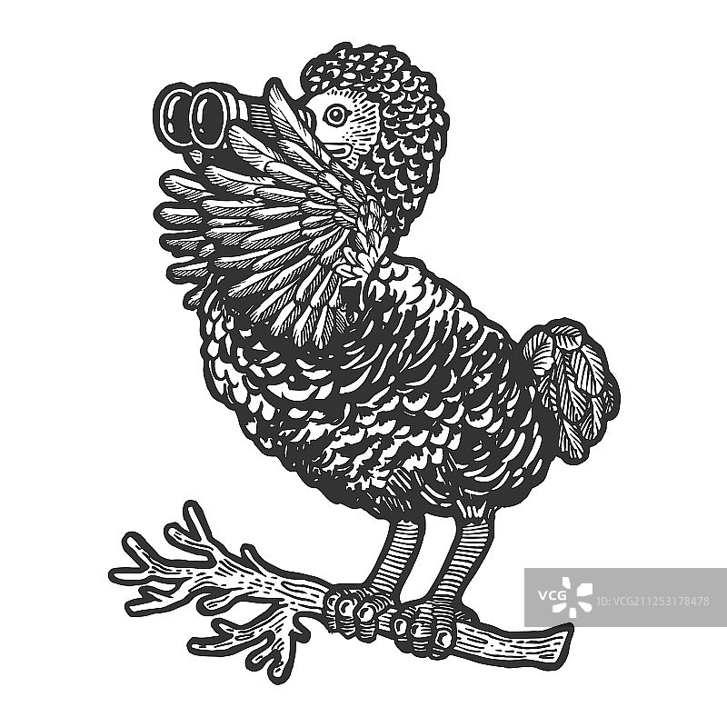 渡渡鸟和双筒望远镜素描雕刻图片素材