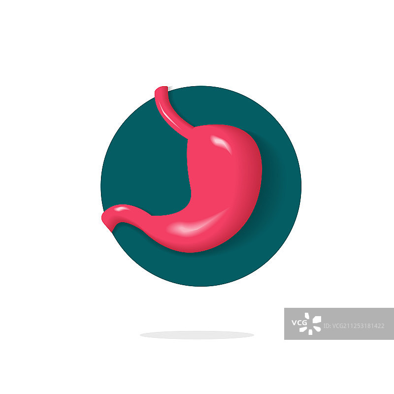 胃部logo图标：独立腹部标志图片素材