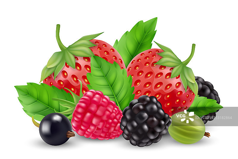 逼真浆果草莓覆盆子图片素材