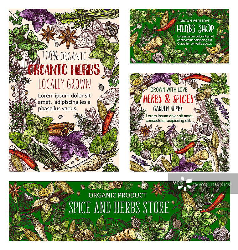 草本香料调味品图片素材