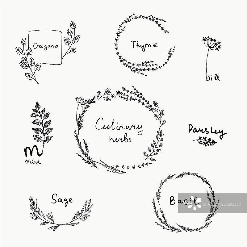 手绘烹饪香草合集图片素材