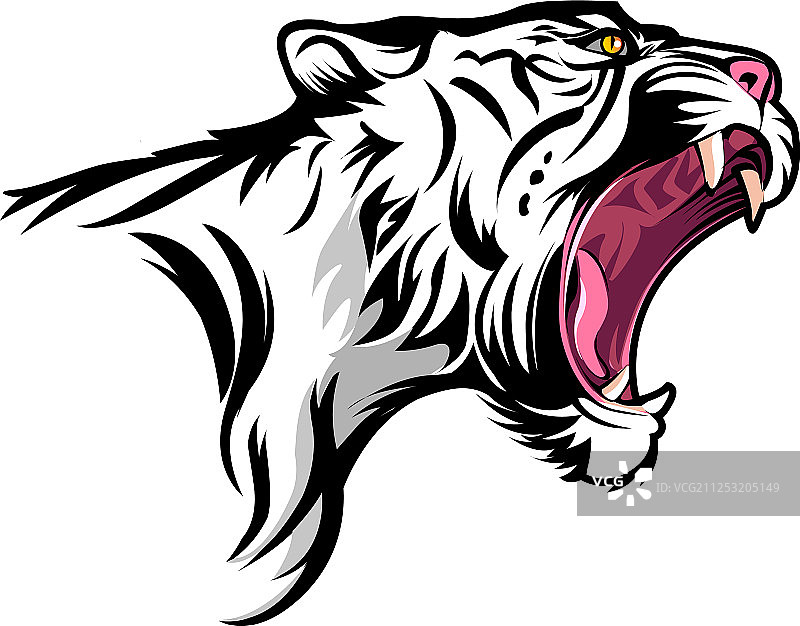愤怒的白虎图片素材