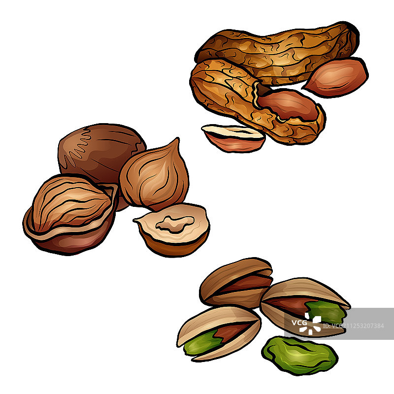 彩色卡通坚果花生榛子组合图片素材