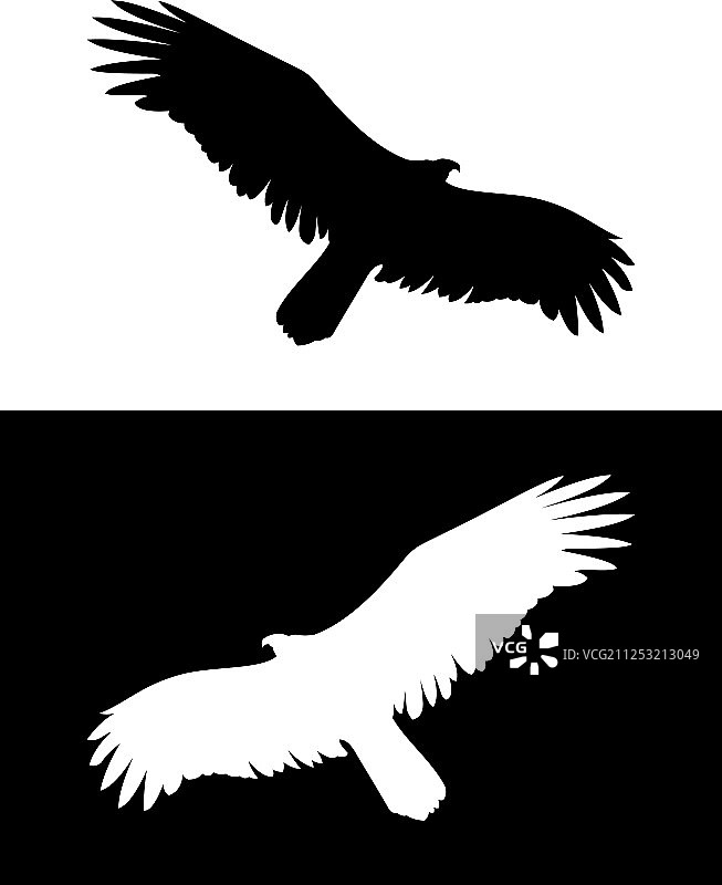 飞翔的雄鹰或猛禽剪影图片素材
