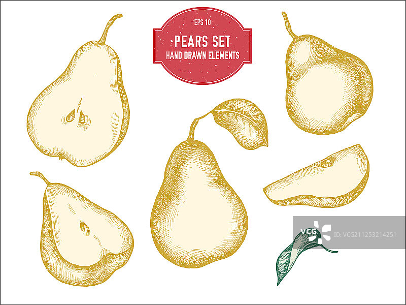 手绘粉彩梨合集图片素材