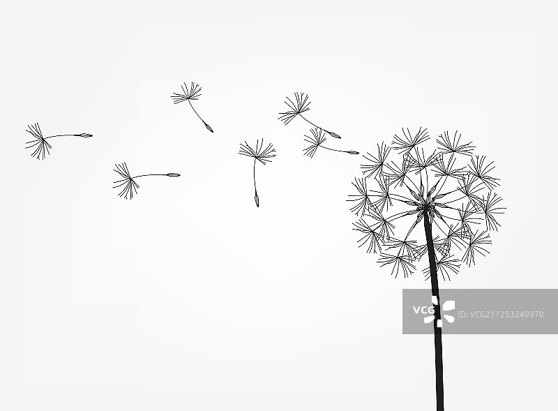 蒲公英抽象背景设计图片素材