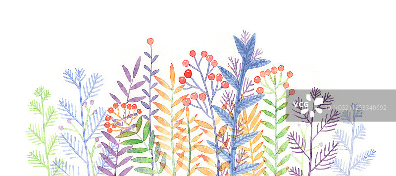 唯美水彩插画-花草丛图片素材